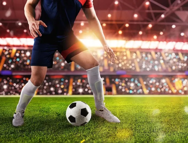 安博体育应用界面展示